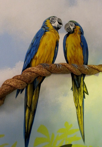 Parrots