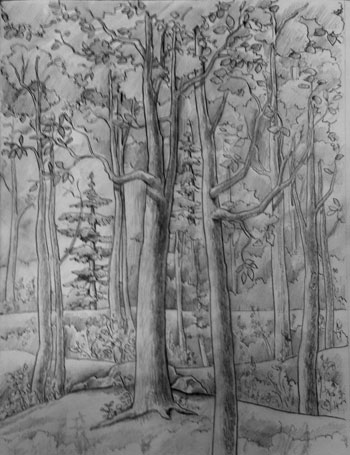 Sketch
