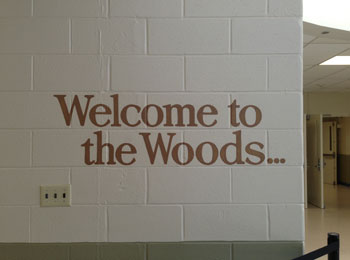Welcome To The Woods