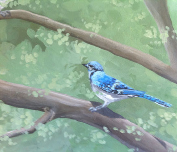 Bird in the trees