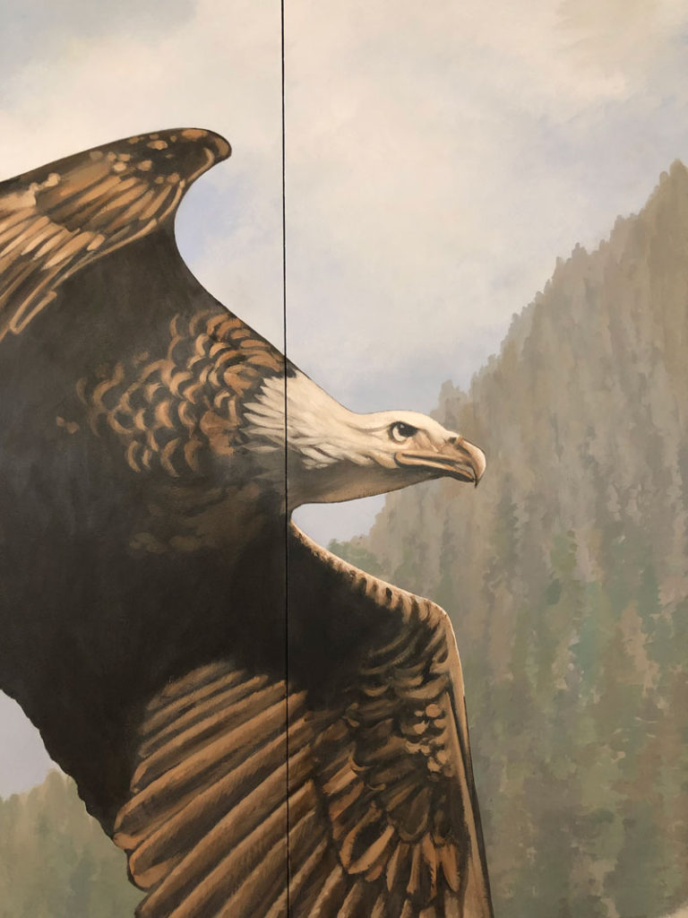 Close up of eagle