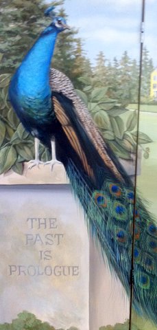 Close up of peacock