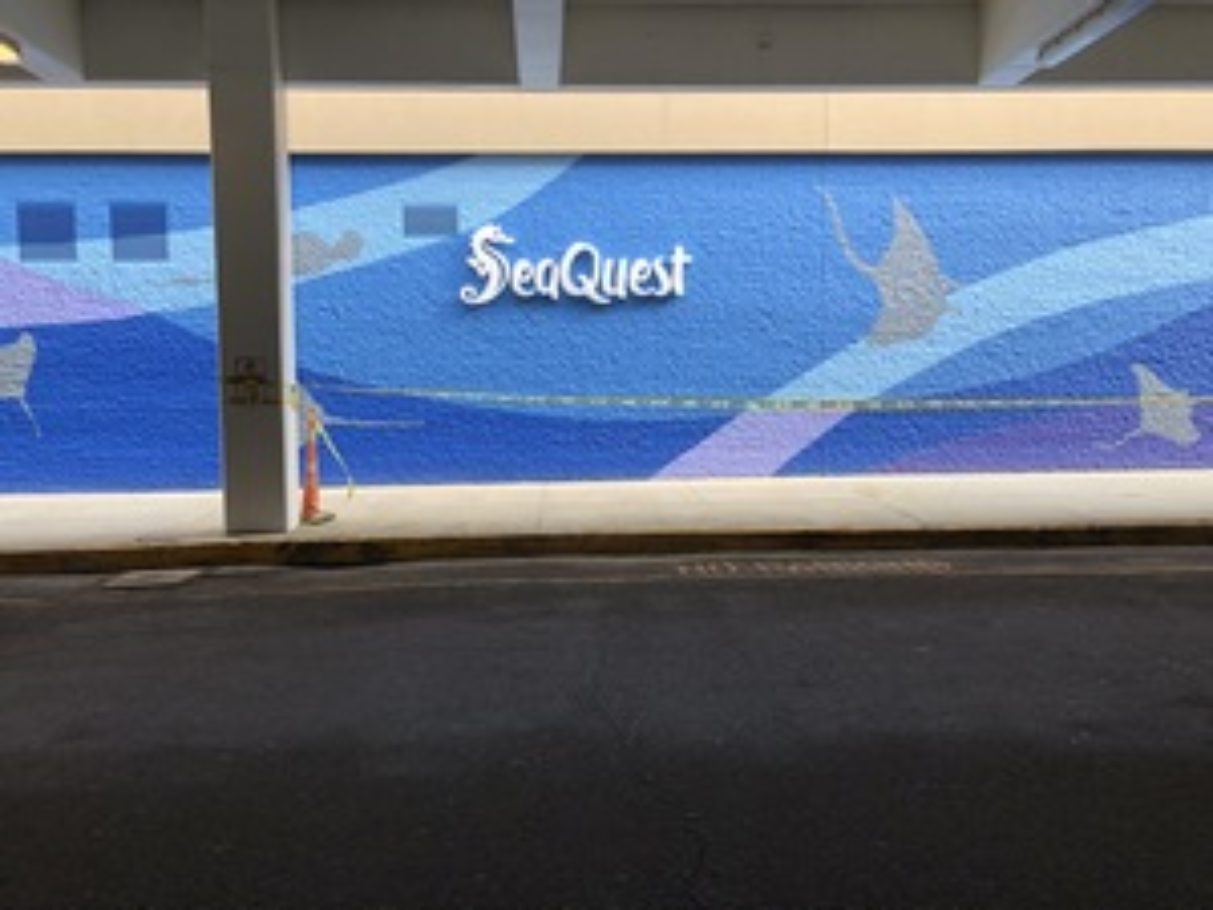 Seaquest Wall Mural in Trumbull