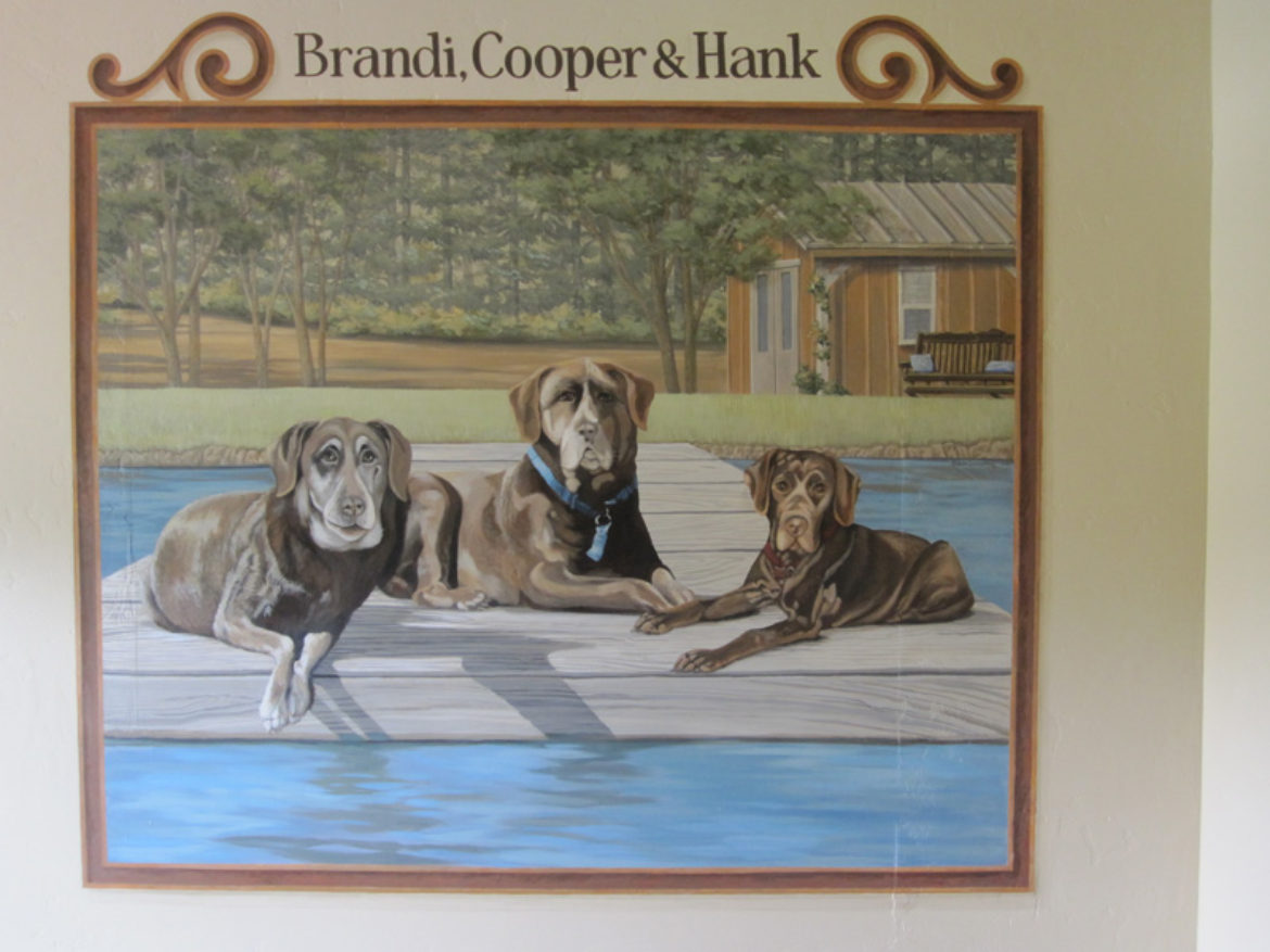 Brandi, Cooper and Hank at the pool