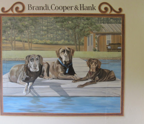 Brandi, Cooper and Hank at the pool