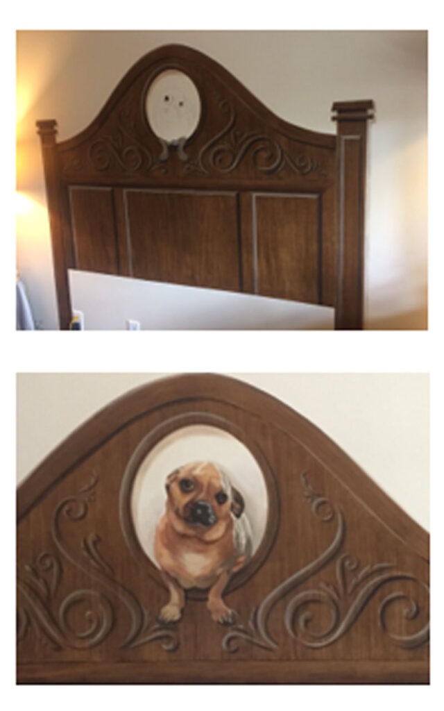 Dog in headboard