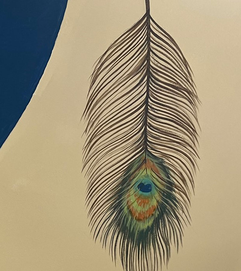 Peacock feather