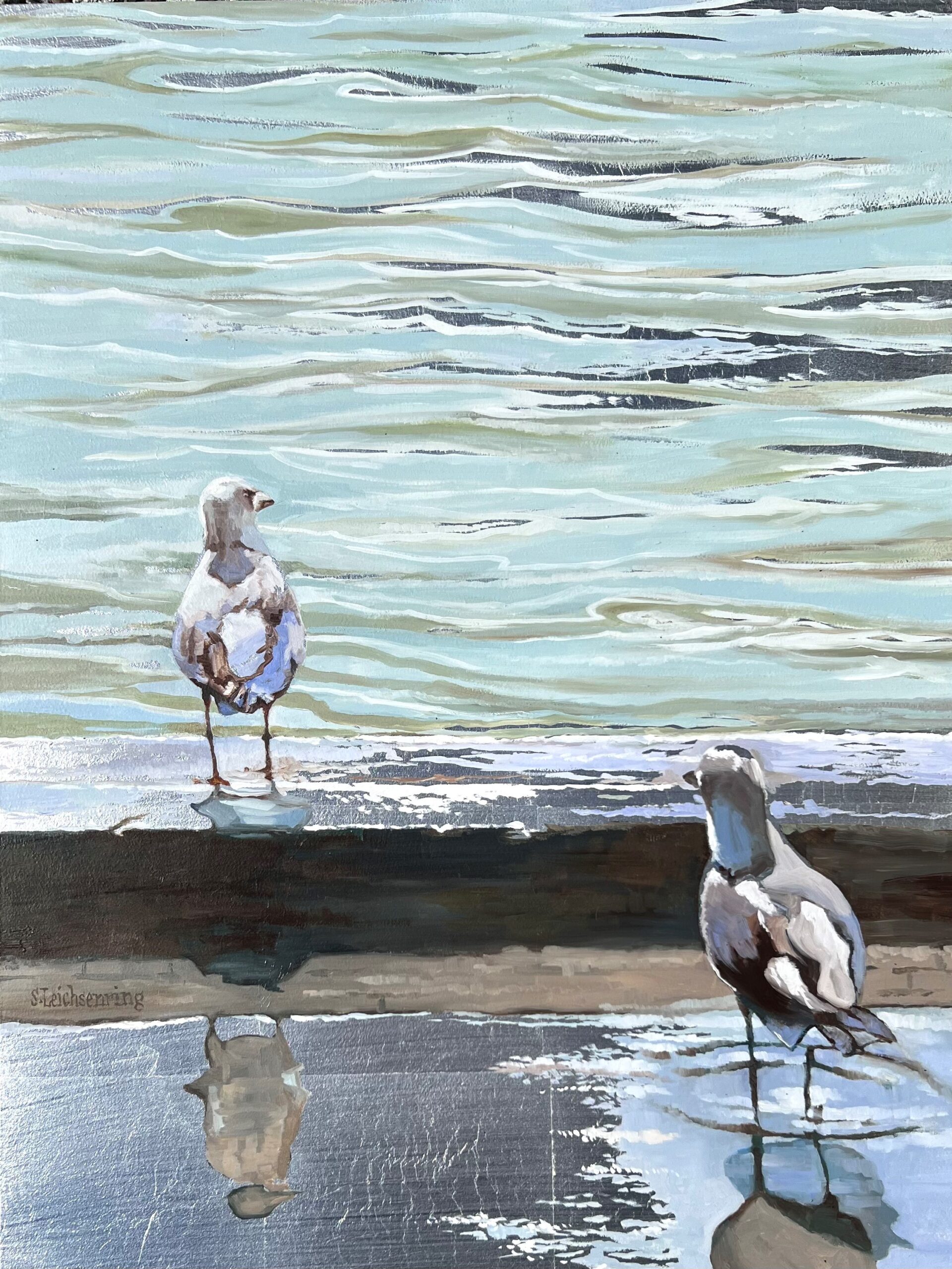 "Considering" Two gulls at the edge of the water