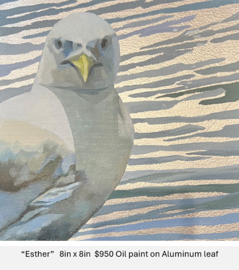 "Esther" - one bold seagull staring