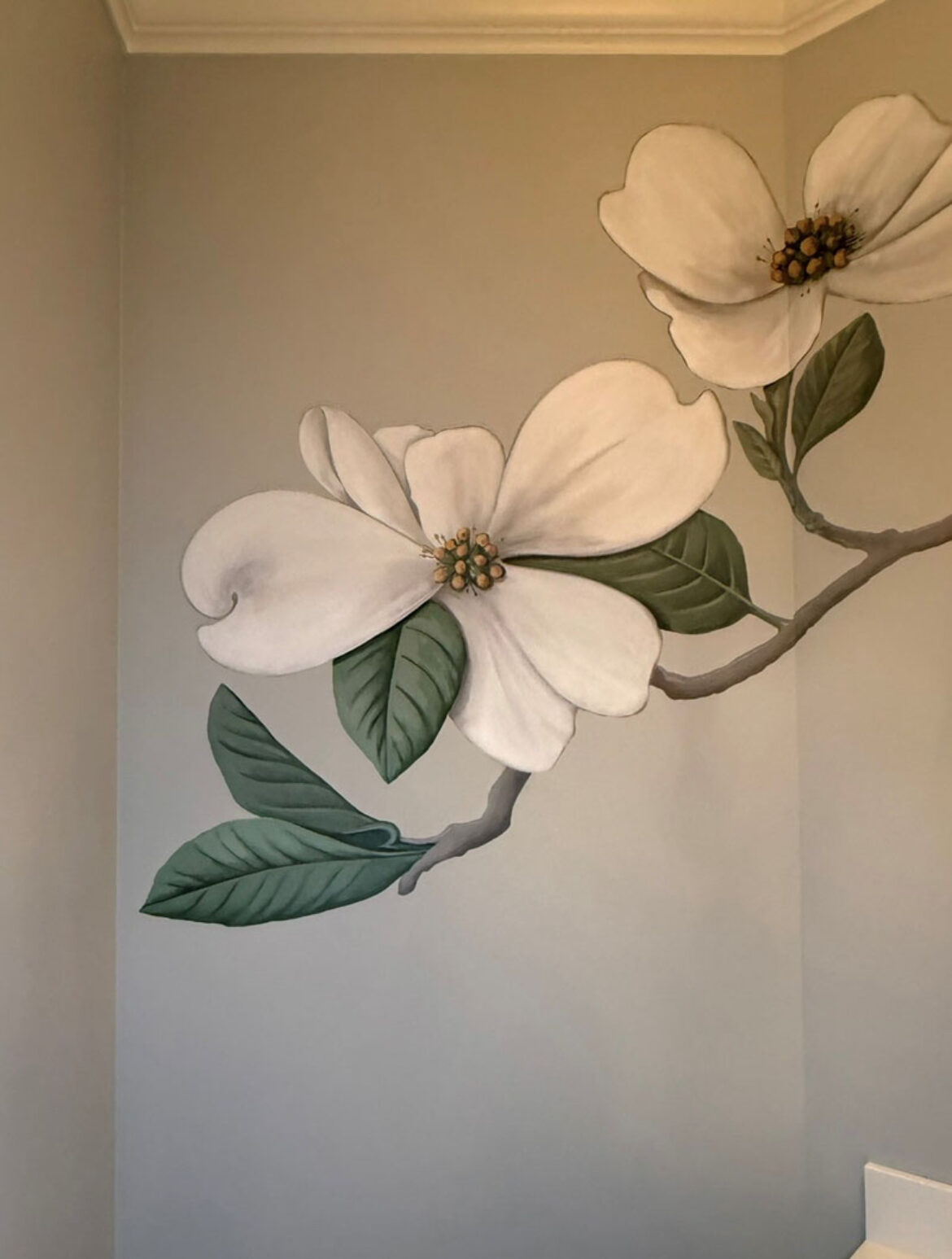 Aview of the dogwood